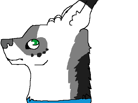 Wolf Head Speed Draw