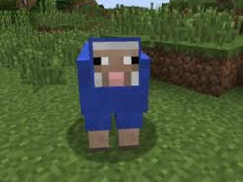 50 Minecraft Questions remix