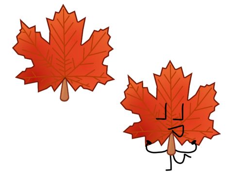 Maple leaf