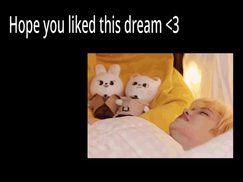 Stray kids dreams