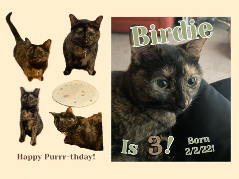 CLOSED!! Bday Art Contest (My cat is 3!) |Closes 3/1/25|