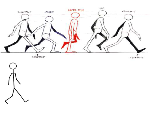 Animation Exercise 1 Answer