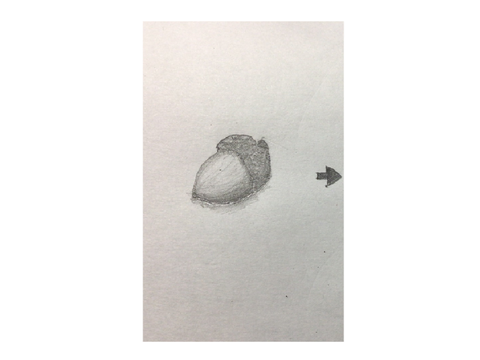 どんぐりを粉にして