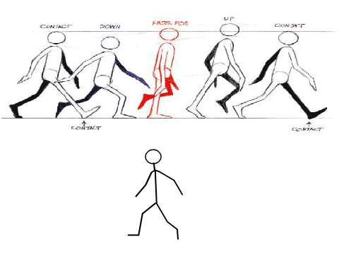 Animation Exercise 3 using costumes not sprites