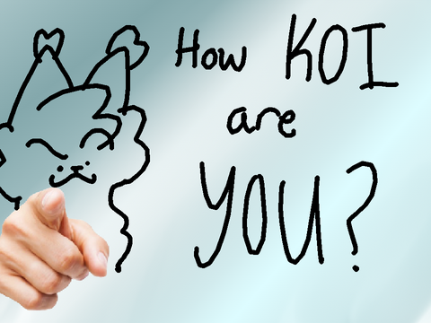 How Koi are You?? :00 remix