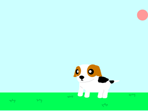 Random Dogs