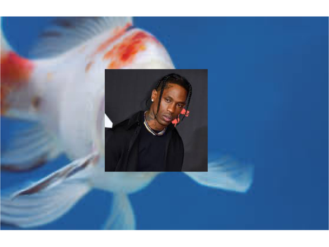 Travis Scott Fisch IRL