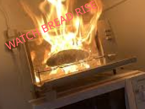 watch bread rise (NEW UPDATE)