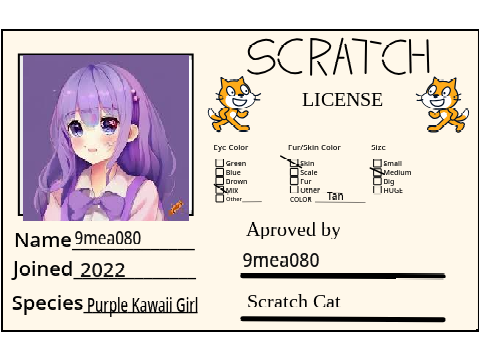 Scratch License UPGRADED