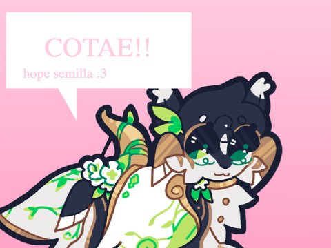 16. | COTAE - Hope Semilla! :D
