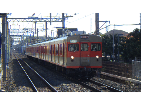 いろいろと撮影
