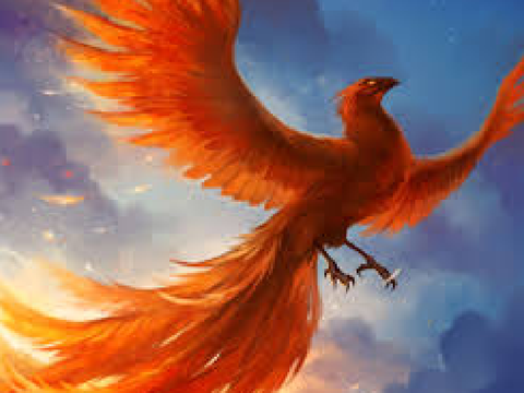 Phoenixflight Donation - CLOSED
