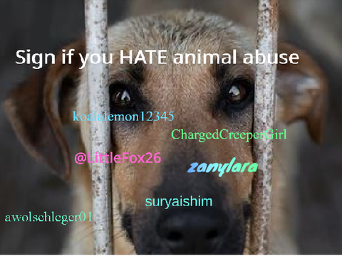 sign if you hate animal abuse IT IS NOT RIGHT remix remix remix