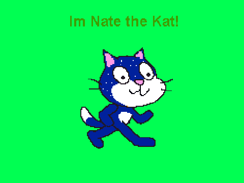 Nate the cat Picture