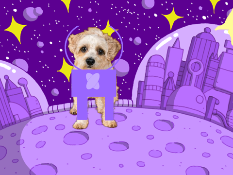 The doggy astronaut!