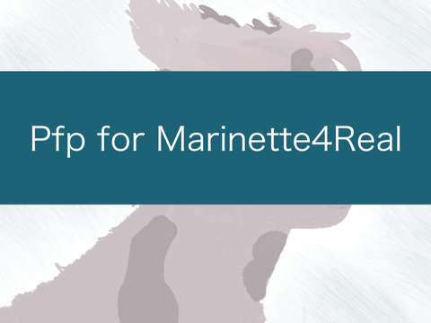 Pfp for @Marinette4Real