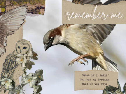 ❝ remember me (little bird). ❞ | a poem.