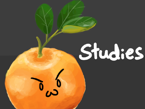 Some studies