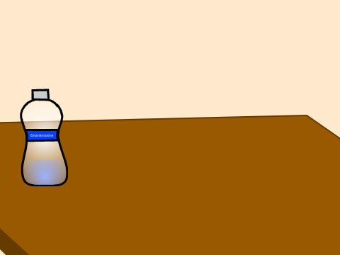 Bottle Flipping Challenge!
