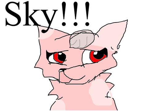 Sky my new furry oc!