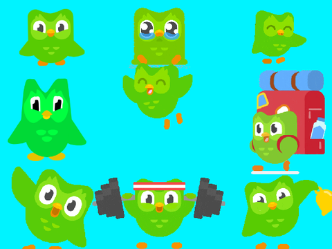 Duolingo Owl's Collection
