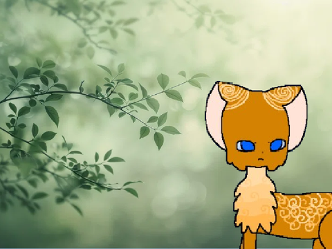 floatingpaw's shell