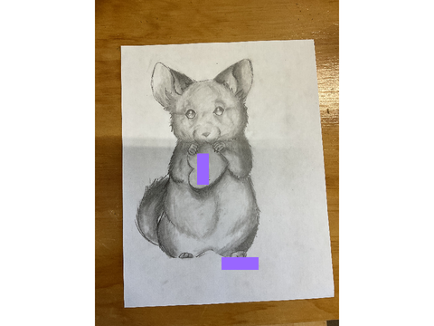 Narrrr a chinchilla 
