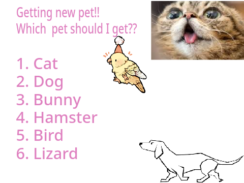 NEW PET!!