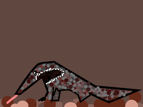 The Anteater