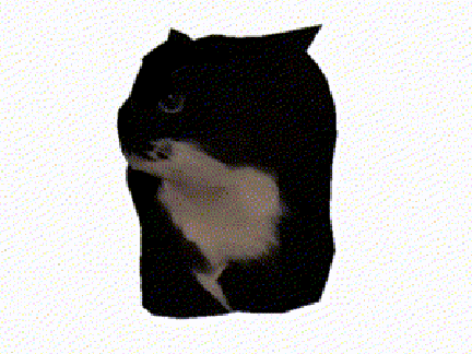 Maxwell The Spinning Cat
