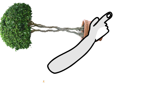 DUUR PLANTTTTTTTTTT