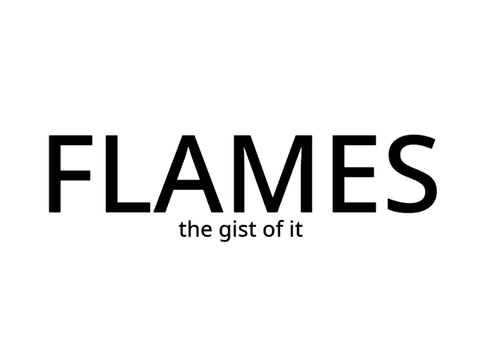 FLAMES: the gist of it