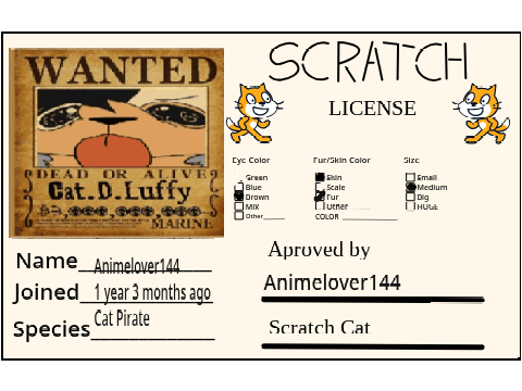 Make Your Own Scratch License remix