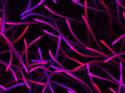 Boids
