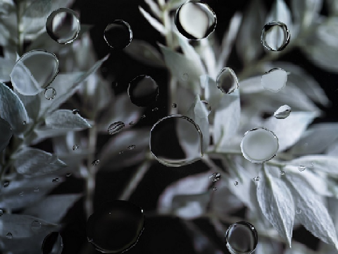 OTAEₓ˚. ୭ ˚○◦˚.˚◦○˚ ୧ .˚ₓ