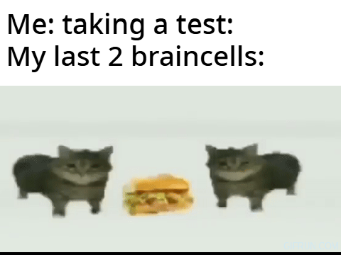 sandwich remix