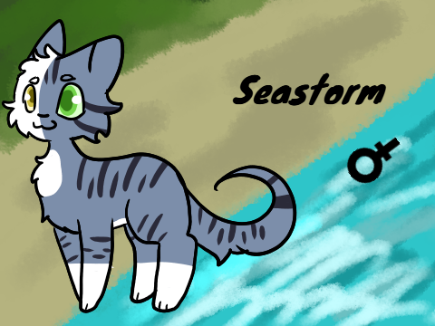 SEASTORM