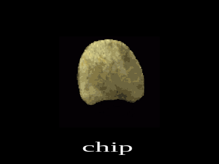 chip