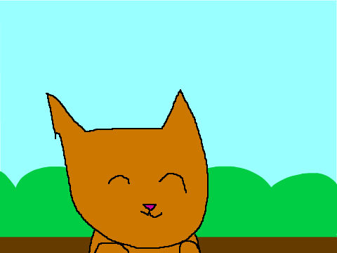 im a cat