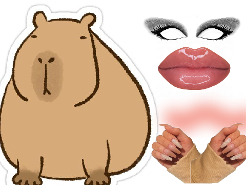 Preppy Capybara Routine