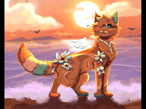Comm 4