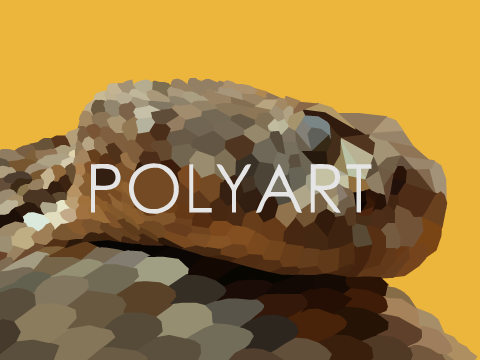 My Poly Art (Panda Update)