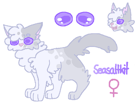 SeasaltKit || Character Profile
