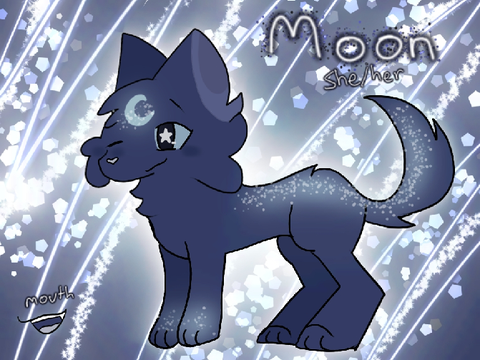 Moon - Payment
