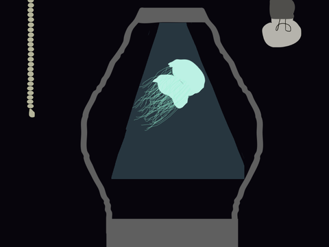 Jellyfish Lamp :)