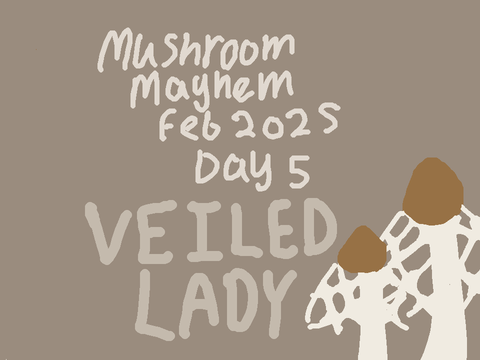 MMF25 DAY 5 || VEILED LADY