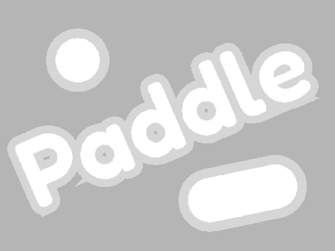 Paddle