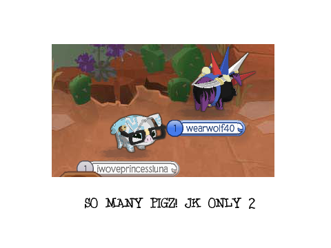 AJ| 30+ Pictures| Friends, Animals, and Dens!|