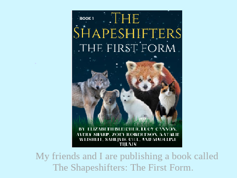 The Shapeshifters: The First Form