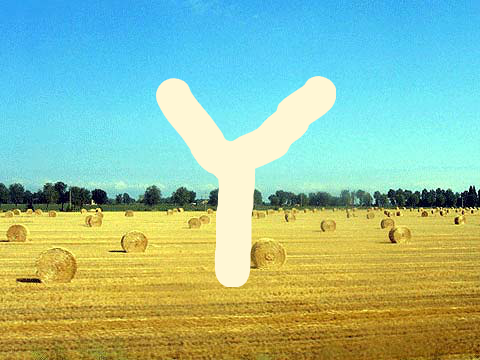 y